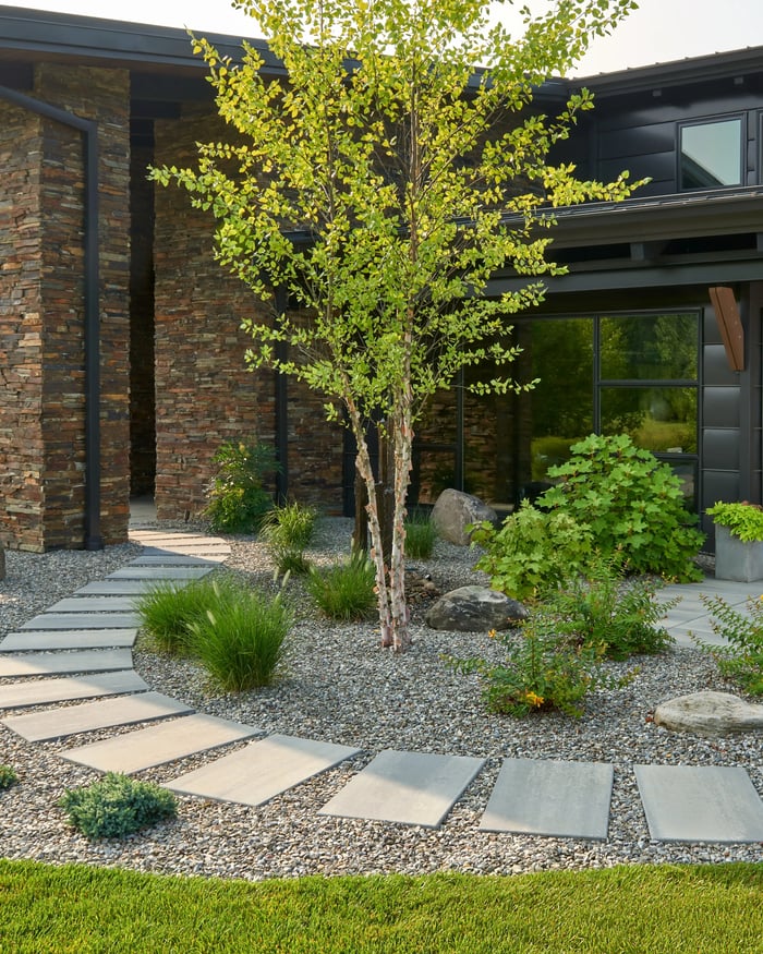 Patio delantero con un árbol y losas de patio Blu Grande Smooth como escalones