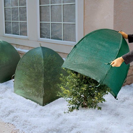 Winter-Curb-Appeal-3.jpg
