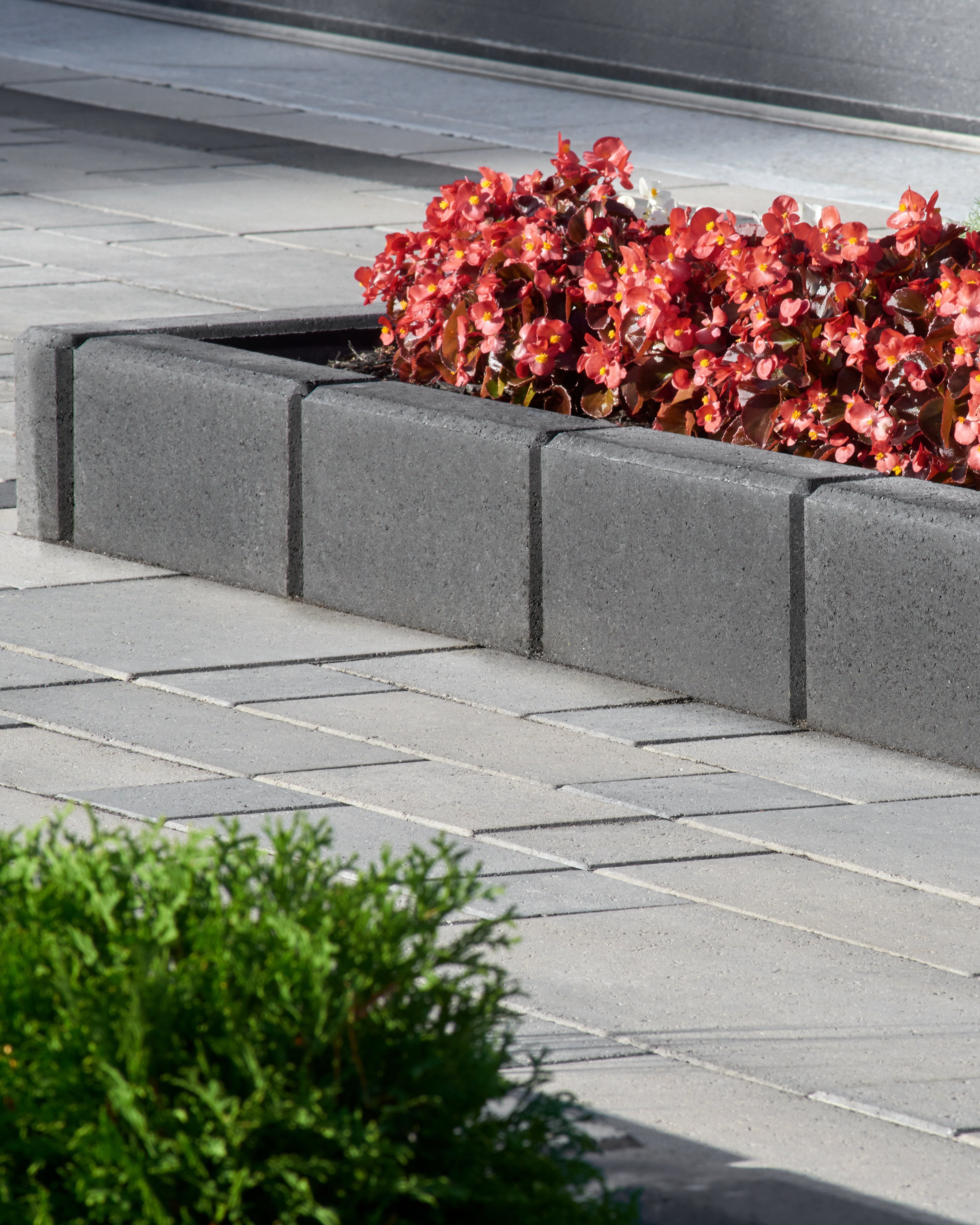 Bordes de piedra de Techo-Bloc que se utilizan en diseños de jardines